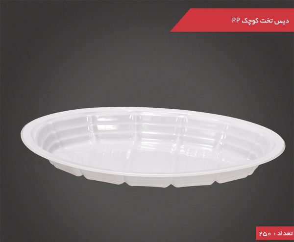 disposable plate takht kochak e1698482969429